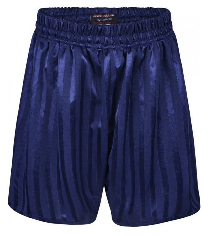 Shadow Stripe P.E Shorts in Navy